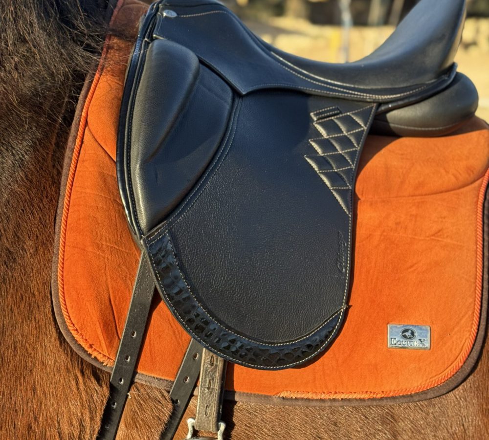 9C589C0A-88FB-4CDD-AAF7-C8A56A1F870F