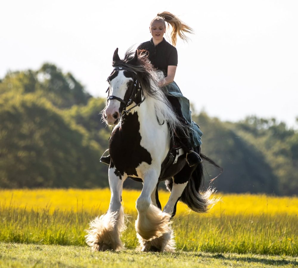 sieljadantved_1741030117_3580342584538715740_52491272333